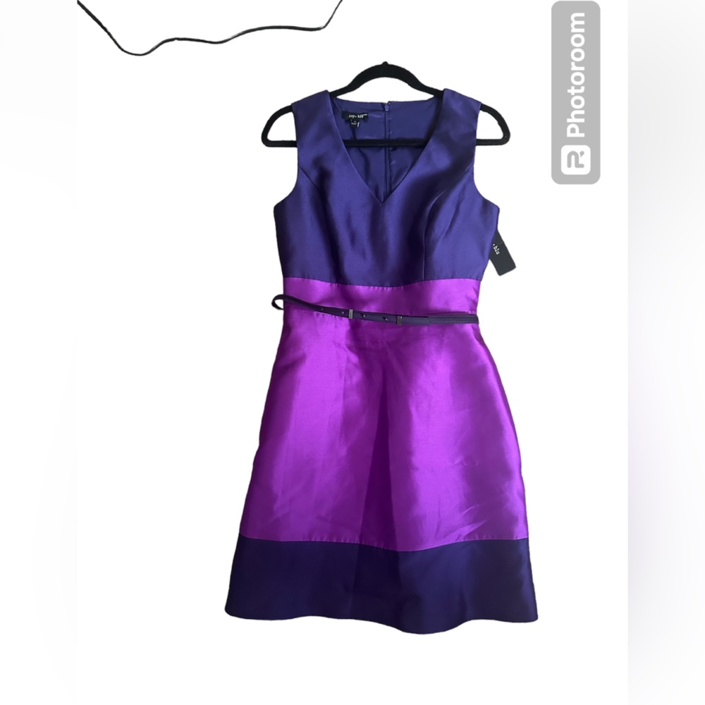 Purple Ivy+Blu Dress